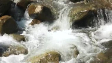 Soğuk dağ nehri taşların üzerinden akıyor..