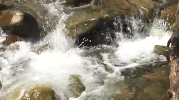 Ποταμός νερό ρέει μεταξύ των λίθων σε μια ηλιόλουστη μέρα. — Αρχείο Βίντεο