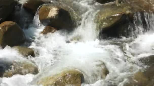 차가운 산의 강이 돌 위로 흐른다. — 비디오
