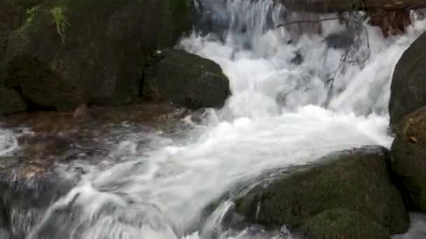 Rzeka płynie wśród skał w górach. — Wideo stockowe