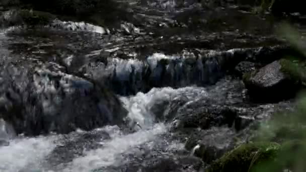Gyors hegyi patak kövek között. — Stock videók