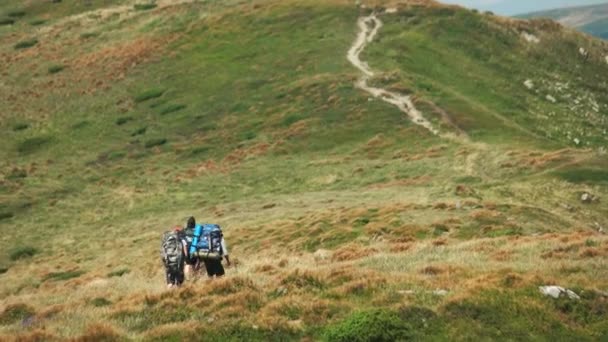 Yaz dağlarında sırt çantalı turistler. — Stok video