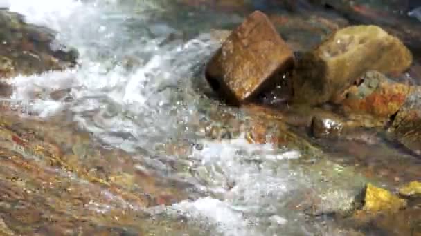 Transparant koud water van een bergrivier. — Stockvideo