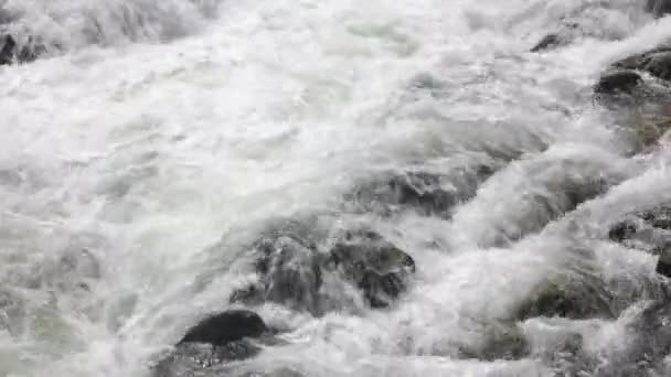 Habos hegyi folyók zuhogása kövek között. — Stock videók