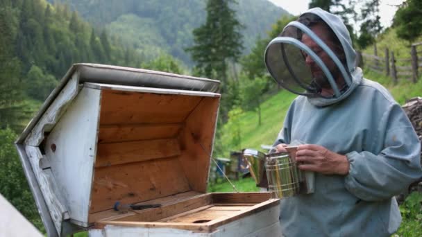 Apicultor está trabajando en apiary. — Vídeo de stock
