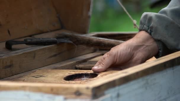 Gros plan de l'apiculteur travaillant avec une ruche sur un rucher. — Video