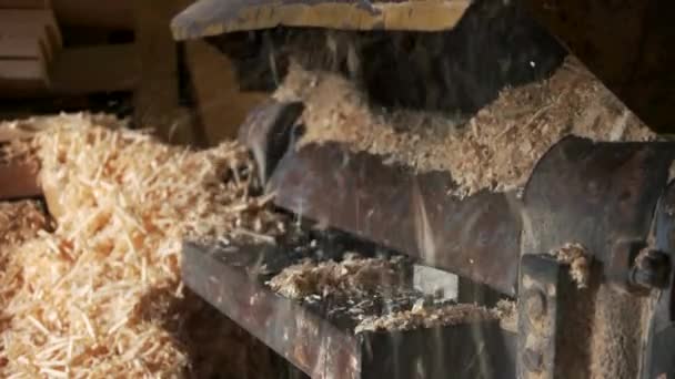 Primo piano falegname taglio assi di legno. — Video Stock