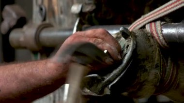 Farrier yeni at nalı çakıyor. Yakın plan..