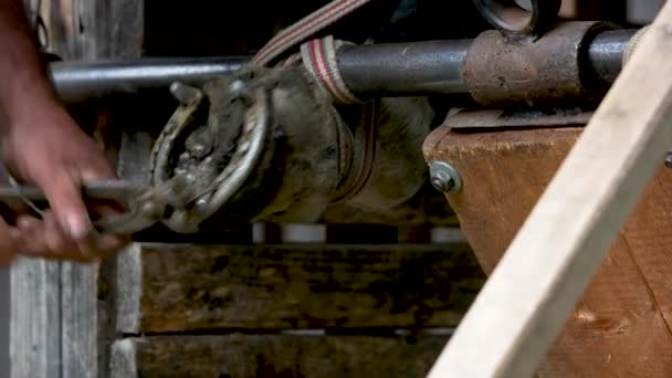 Farrier removendo ferradura velha do casco. — Vídeo de Stock