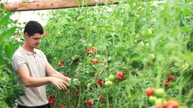 Serada çalışan dost canlısı çiftçi..