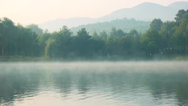 Foggy sjö tidigt på morgonen. — Stockvideo