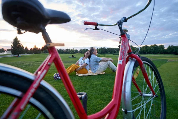 Vieja bicicleta roja en la hierba. — Foto de Stock