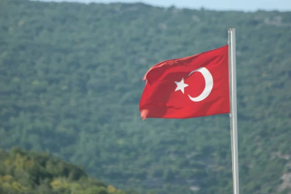 Vlag van Turkije op troebele groene achtergrond. — Stockfoto