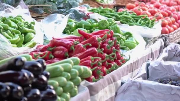 Çiftçi pazarında çeşitli organik sebzeler.. — Stok video