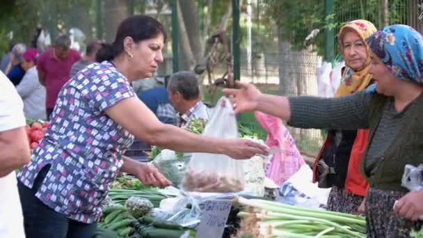 Femme achetant des légumes frais au stand du marché fermier. — Video