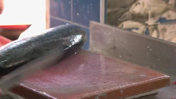 Man rengör stor färsk fisk med kniv. — Stockvideo