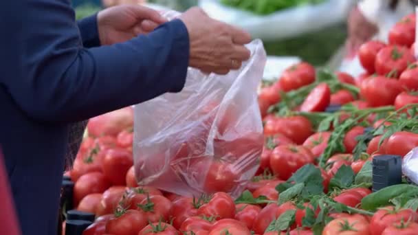 Starsza kobieta kupuje pomidory na targu.. — Wideo stockowe