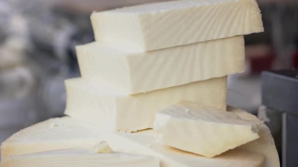 Organic French cheese on shop counter. — Stock Video