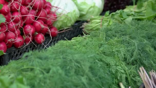 Zavření čerstvé ekologické zeleniny na stánku na trhu. — Stock video