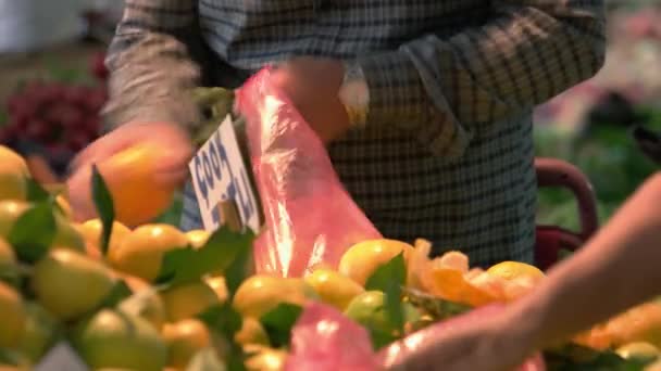 Close up female hand choosing mandarins. — Stock Video