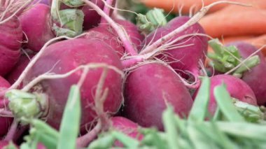 Yiyecek pazarında organik turp yığınını kapat..