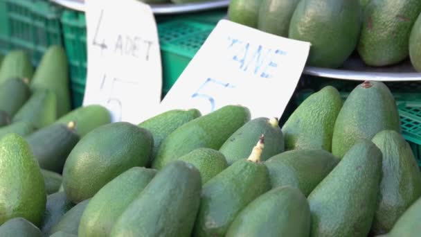 Показ свежих авокадо на фруктовом рынке. — стоковое видео