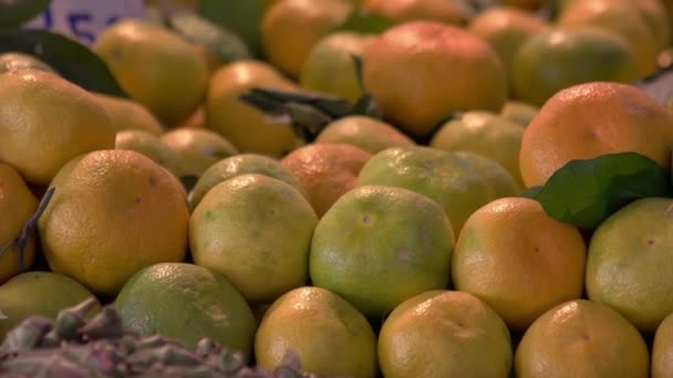 Fondo de frutas de mandarina. — Vídeos de Stock
