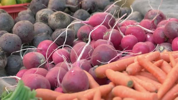 Fundo de legumes orgânicos. — Vídeo de Stock