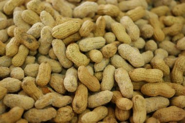 Kabuklu fıstık yığını yakın..