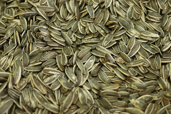 Dried sunflower seeds texture.