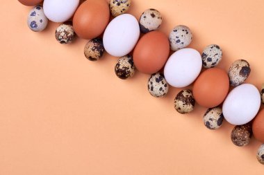 Arka planda bıldırcın ve tavuk yumurtası sıraları..