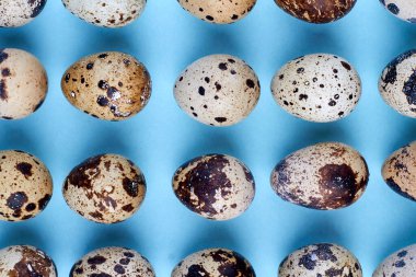 Arka arkaya benekli bıldırcın yumurtası..