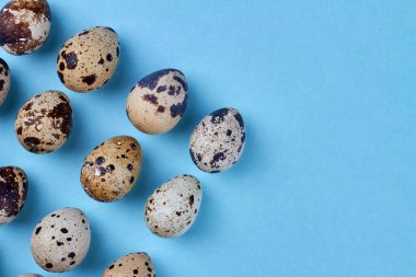 Bıldırcın yumurtalarını yakın çekim..