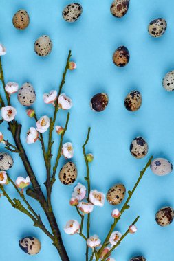 Çiçekli ve bıldırcın yumurtalı dikey bir dal..