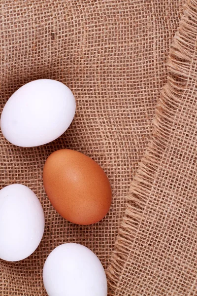 Närbild brunt ägg och vita ägg. — Stockfoto