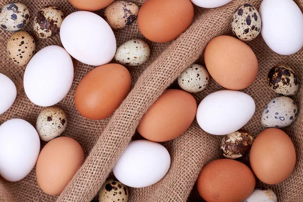 Många kyckling och vaktel ägg ovanifrån. — Stockfoto