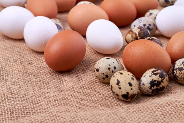 Sammansättning av olika ägg närbild. — Stockfoto
