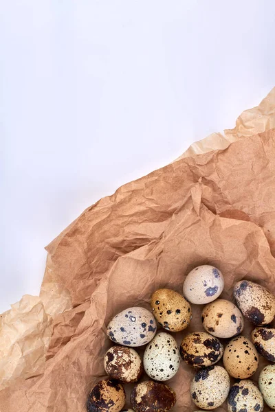 米色皱折纸上的斑点小鸡蛋. — 图库照片