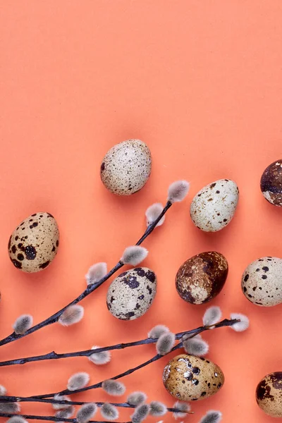 Vertical shot of easter pussy willow branch and quail eggs. — 图库照片