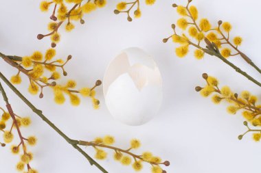 Boş yumurta ve söğüt dalları.