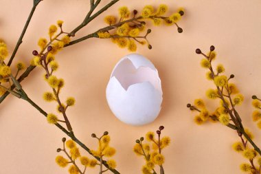 Boş yumurta ve söğüt çiçeği.