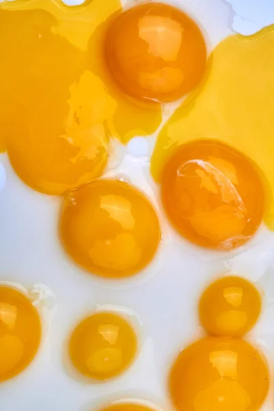 Yemas verticales de huevo sobre fondo blanco. — Foto de Stock