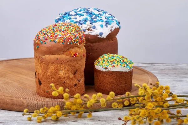 Gebackene Osterkuchen mit Zuckerguss und Gelbweiden. — Stockfoto