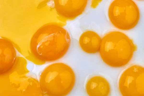 白い表面に鶏の卵の黄身をトップビュー. ロイヤリティフリーのストック画像