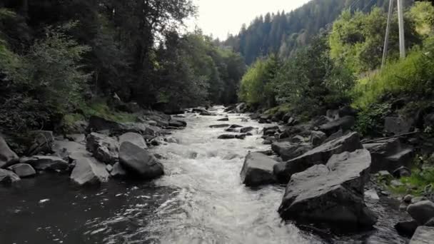 Górska rzeka przepływająca nad kamieniami na tle lasu. — Wideo stockowe