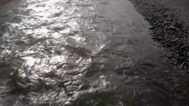 Taşların üzerinde sığ nehir akıntısı.