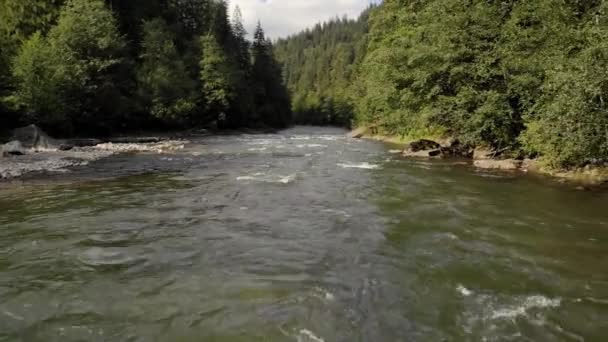 Rio da montanha que flui através da floresta. — Vídeo de Stock