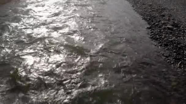 Flacher Flusslauf über Steine. — Stockvideo