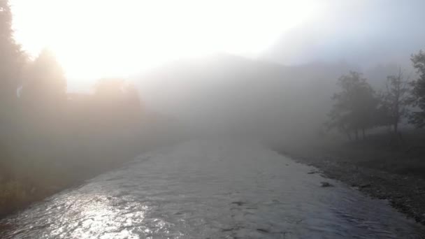 Nehrin üzerinde sis var.. — Stok video