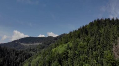 Yeşil dağ ormanı ve mavi gökyüzü arka planı.